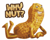 Why Nut Sucere GIF - Why Nut Sucere Sucere Foods GIFs