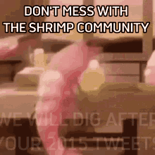Shrimp GIF - Shrimp GIFs