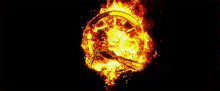 Logo Flaming GIF - Logo Flaming Burning Bird GIFs