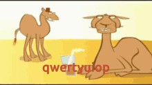 Qwertyuiop Camel GIF - Qwertyuiop Camel Cursors GIFs