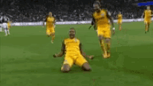 a group of soccer players are celebrating a goal on the field .