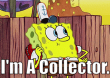 Spongebob Collector GIF - Spongebob Collector Im A Collector GIFs