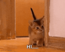 a kitten is peeking out from behind a door and says hi .