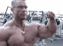 Look This Bicep GIF - Look This Bicep GIFs