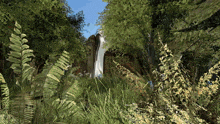 a waterfall in the middle of a forest with ferns and flowers