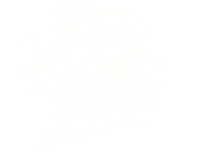 a white background with a few lines on it .