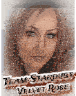 a poster for team stardust velvet rose features a woman