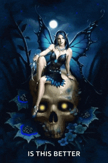 black fairy skull dark butterfly night