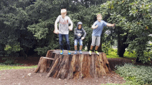 Tree Boys GIF - Tree Boys Jump GIFs