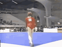 elena shevchenko shevchenko floor gymnastics wallysgc