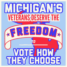 Veterans Veteran Vote GIF - Veterans Veteran Vote Michigan GIFs