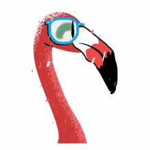 flamingo unstable