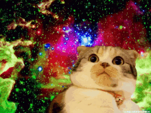 Cat Scared GIF - Cat Scared Galaxy GIFs