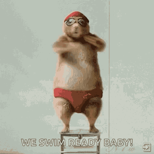 Vacation Swim GIF Vacation Swim Athlete Discover & Share GIFs