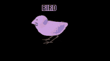 Bird Dn GIF - Bird Dn Spinning GIFs
