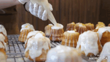 a bunch of cupcakes are being decorated with icing and the words made in animotica are visible