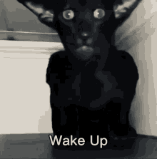 Wake Up Bobo GIF - Wake Up Bobo Wake Up Bobo GIFs