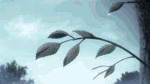 a tree branch with leaves on it against a cloudy sky