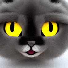 Gato Ojos GIFs