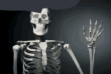 Skeleton Quote GIF - Skeleton Quote GIFs