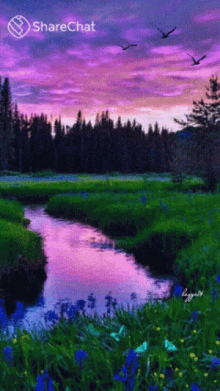 Nature River GIF - Nature River Purple GIFs