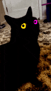 a black cat with yellow eyes and a pink eye