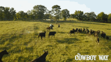 Herding The Cowboy Way GIF - Herding The Cowboy Way Cows GIFs