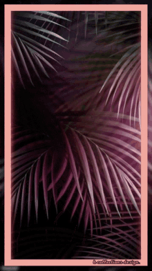 a framed picture of palm leaves with a purple background and a border