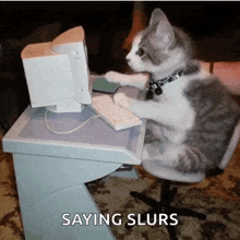 Type Cat GIF - Type Cat Typing GIFs