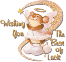 best of luck mouse glitter wishing you the best of luck