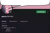 a screenshot of a person 's profile with a speech bubble and a button that says send message