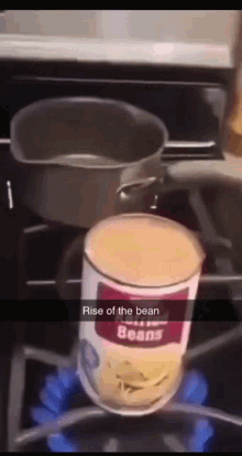 Rise Of The Bean GIF