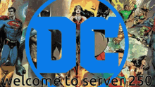 a welcome to server 250 sign with a bunch of superheroes