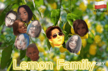 Lemon Cult Aidans Army GIF - Lemon Cult Aidans Army Lemon Family GIFs