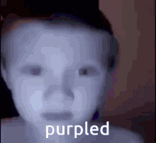 Purpled GIF - Purpled GIFs