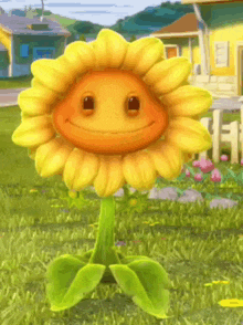 Sunflower Plants Vs Zombies GIF
