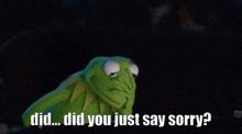 kermit the frog says " did you just say sorry " in a dark room