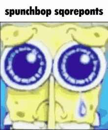 Spunchbop Meme GIF