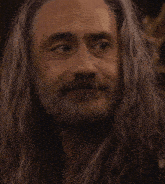 a man with long grey hair and a beard