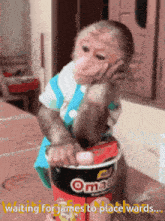 a monkey sitting on top of a bucket that says omac on it