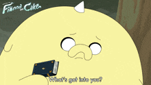 What'S Got Into You Beth GIF - What'S Got Into You Beth Adventure Time Fionna And Cake GIFs