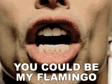 You Could Be My Flamingo Steven Tyler GIF