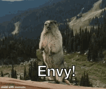 envy beaver shout