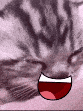 Cat Cat Meme GIF - Cat Cat Meme Cat Crying GIFs