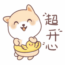 happy cute dancing cat joyful cat inside floatie duck