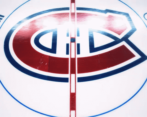 Canadiens Montréal on X: Ça ne s'invente pas. 🤩 Meant to be. #GoHabsGo