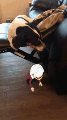 a black and white dog is laying on a couch next to a cartoon of a woman