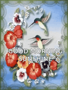 Good Morning Flowers GIF - Good Morning Flowers Humming Birds GIFs