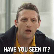 Have You Seen It Tim Robinson GIF