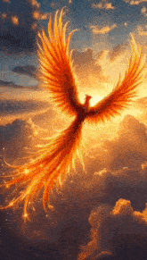 a phoenix is flying through the clouds at sunset .